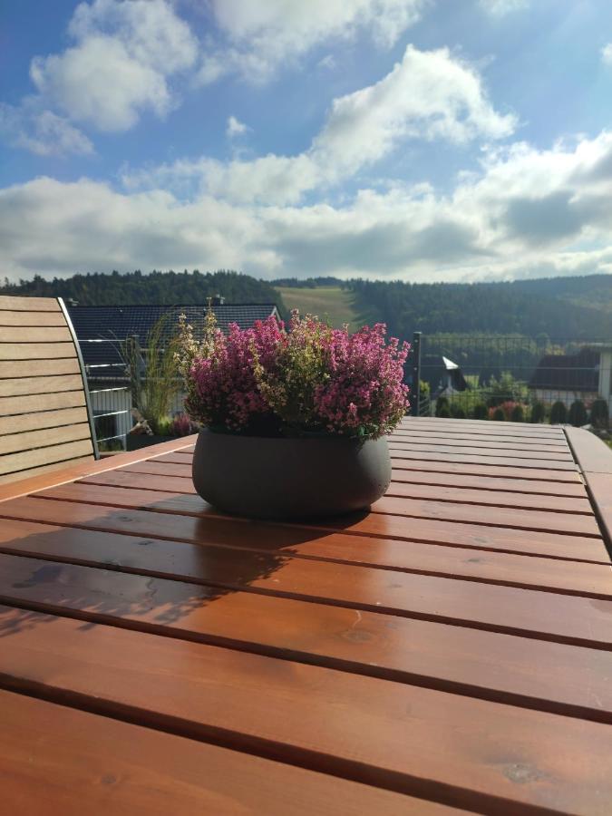 Fewo Poenblick Willingen  Exterior photo